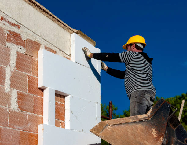 Best Specialized Insulation Services in Niles, OH