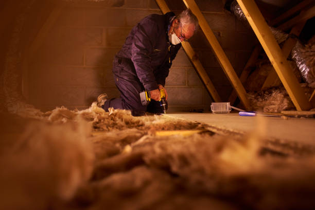 Best Insulation Maintenance and Repair in Niles, OH