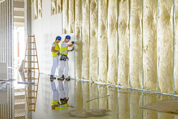 Best Geographic-Specific Insulation Services in Niles, OH